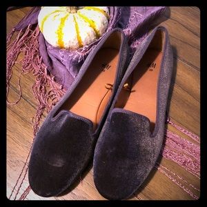NWOT 💜💜💜Dark purple velvet loafers